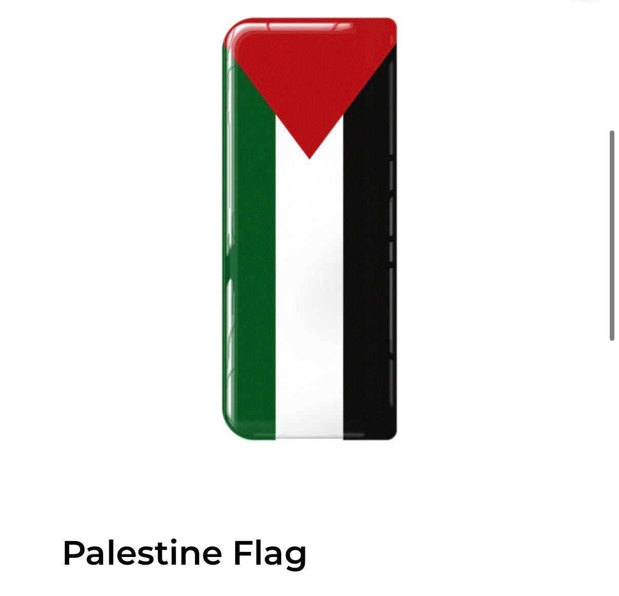 Palestine Number Plate Flag